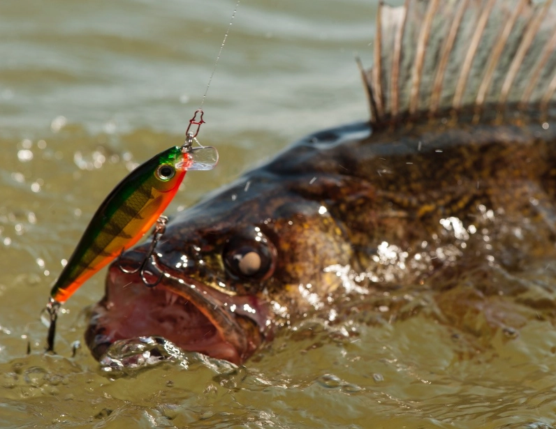 artificial lures for trout