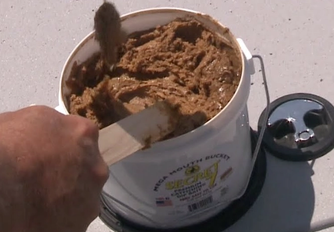 best catfish bait