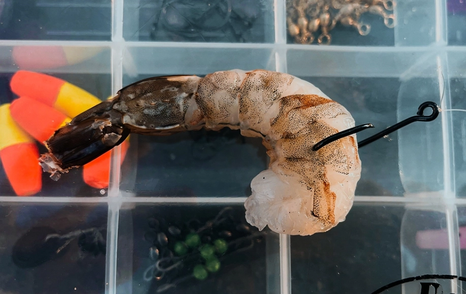 homemade catfish bait