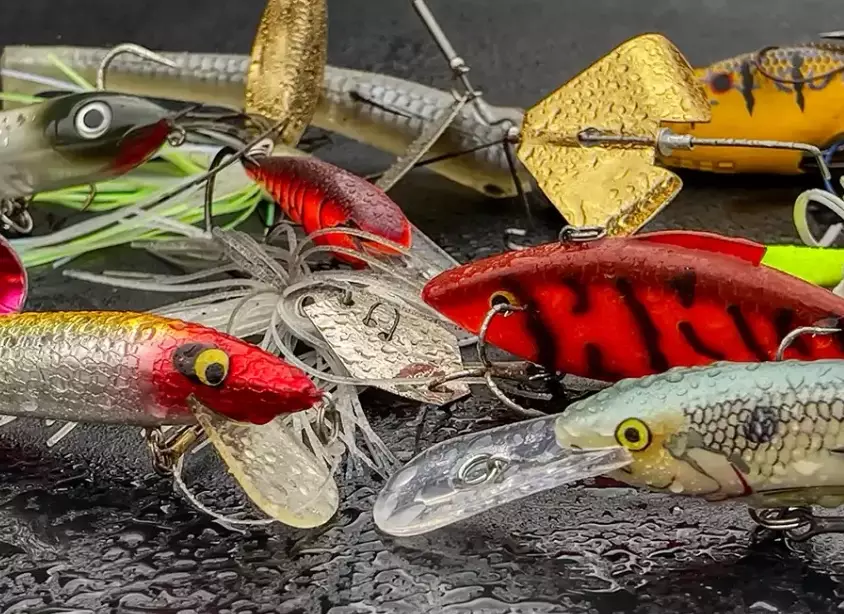 how to choose fishing bait