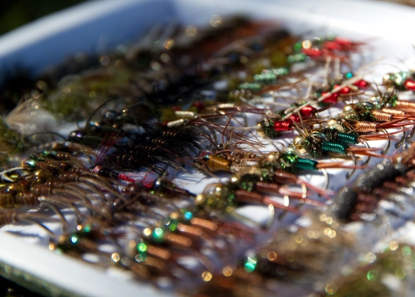 how to choose fly fishing flies