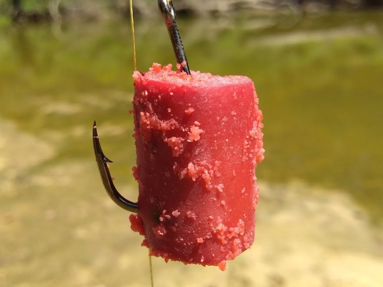 catfish bait