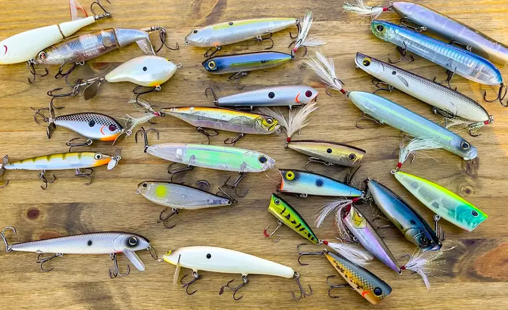 how to choose fishing bait