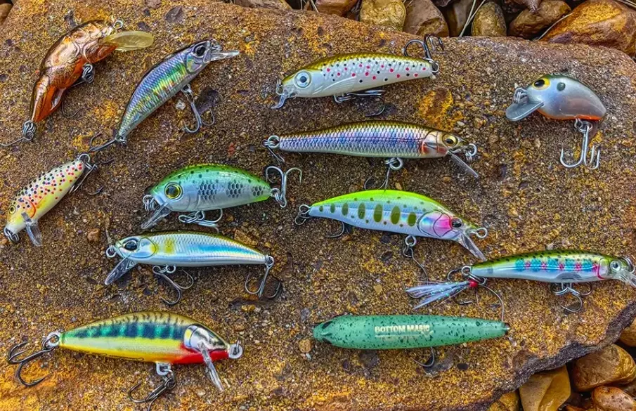 types of fishing bait