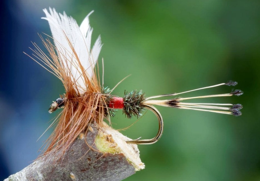 how to choose fly fishing flies
