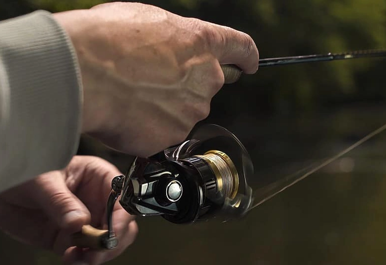 fly fishing vs spin fishing