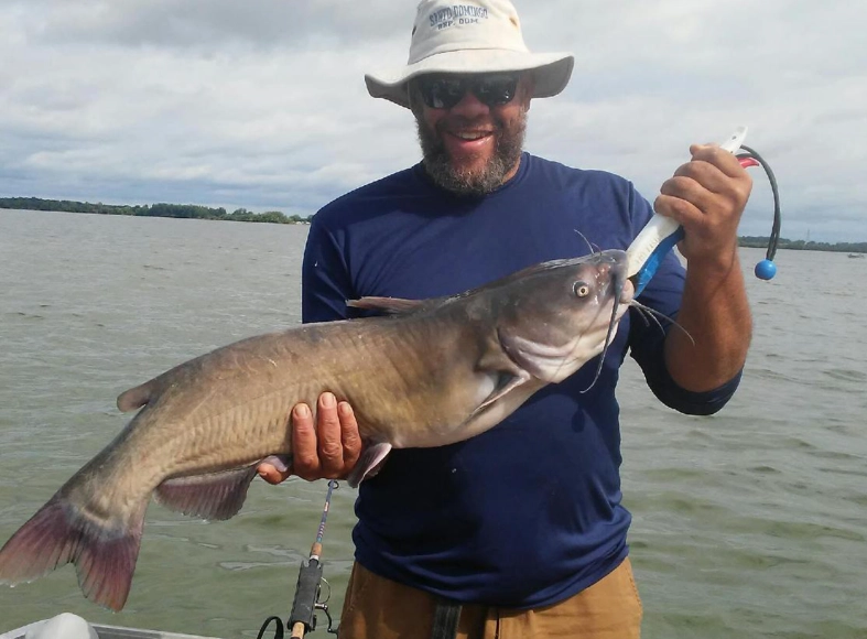 catfish bait