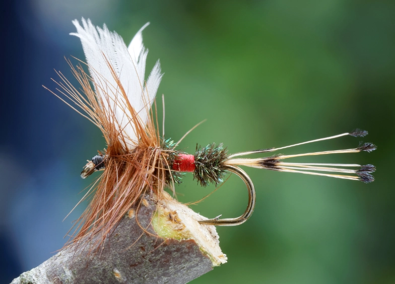 best fly fishing lures