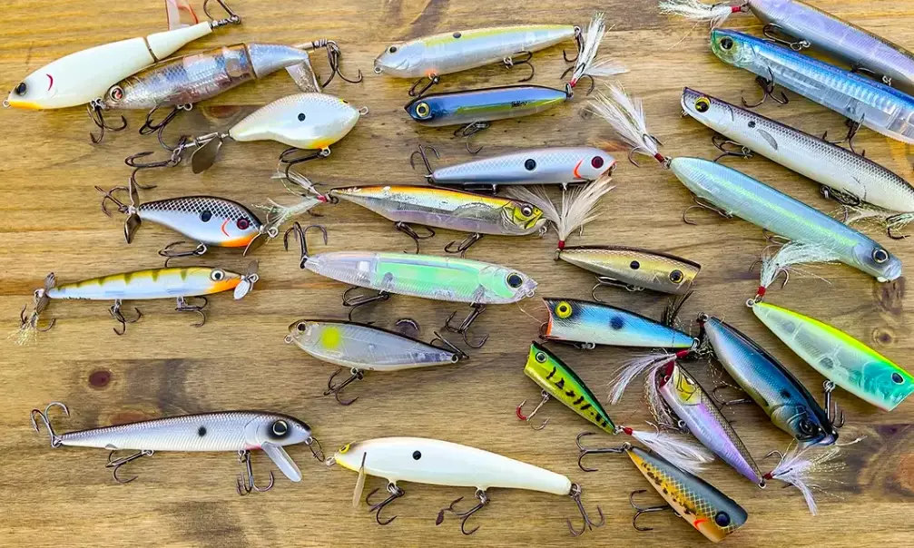 how to choose bass bait