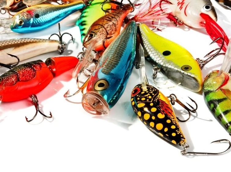 bass fishing bait