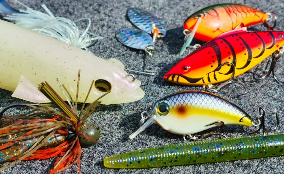 how to choose bass bait