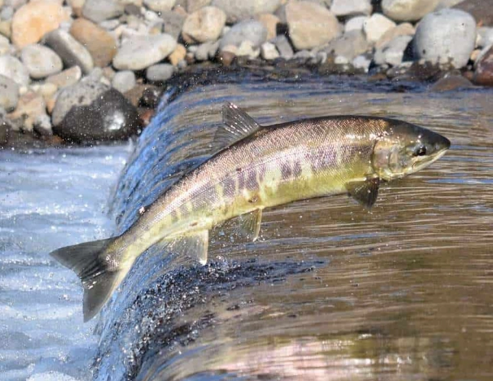 river fishing spots
