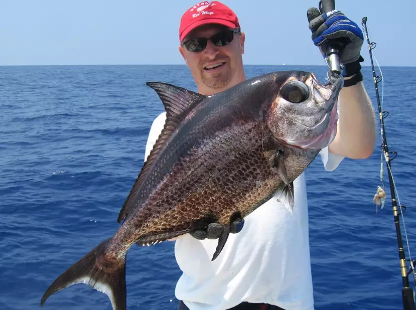 saltwater fish species