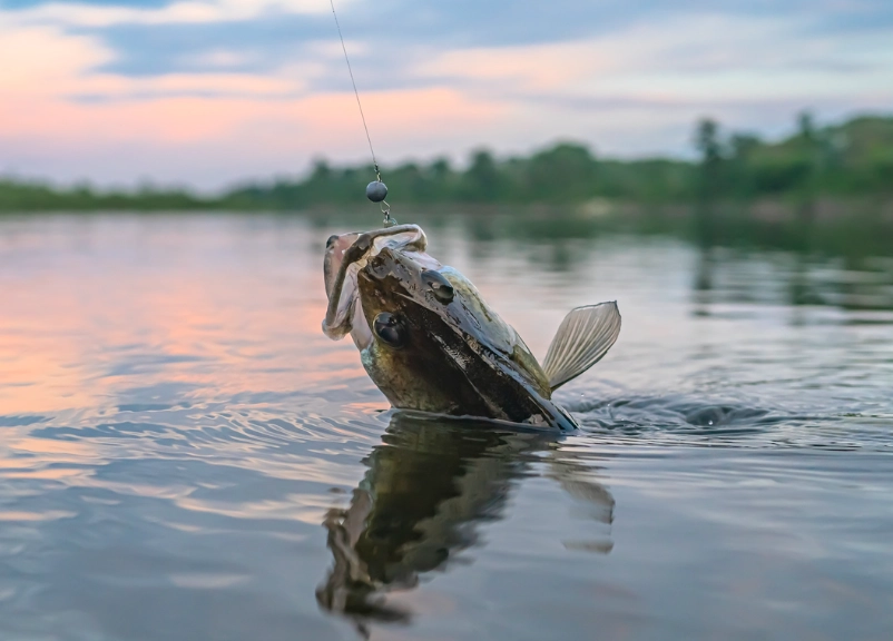fishing in strong current