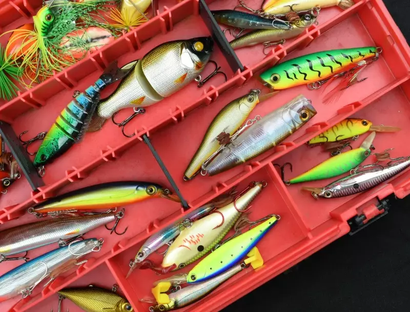 fishing bait guide
