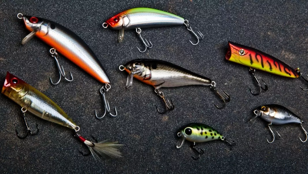 fishing bait guide
