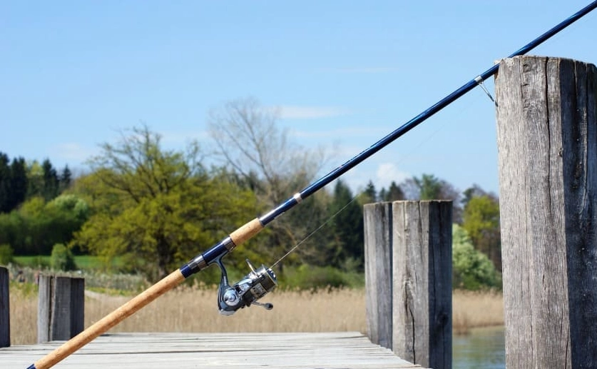 best river fishing rods