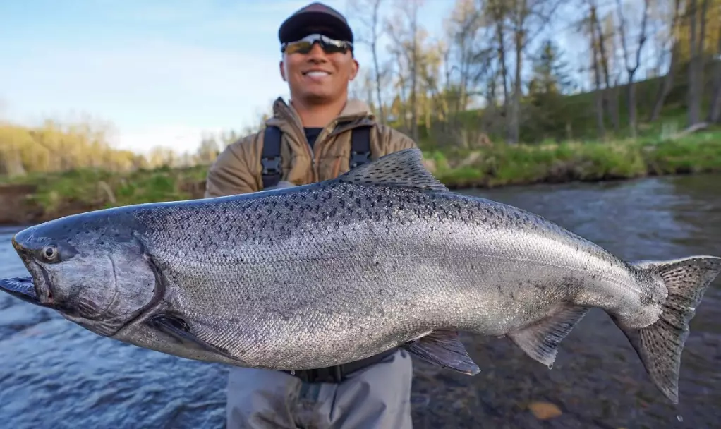 river fish species
