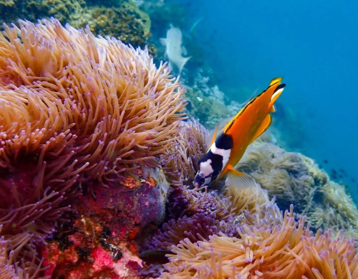 saltwater fishing tips