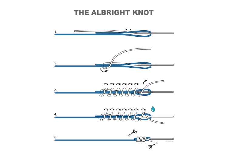 fishing knot guide