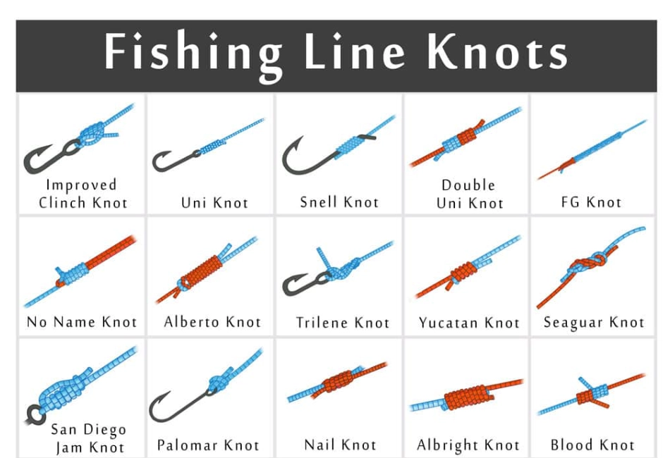 fishing knots for beginners