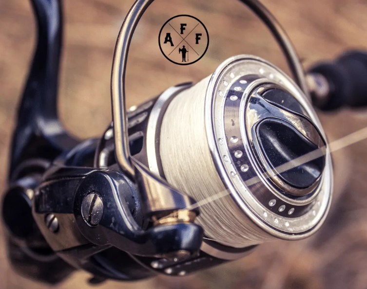 best fishing line for bass fishing