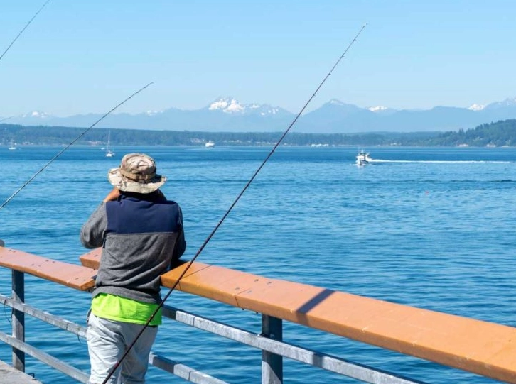 Washington fishing license cost