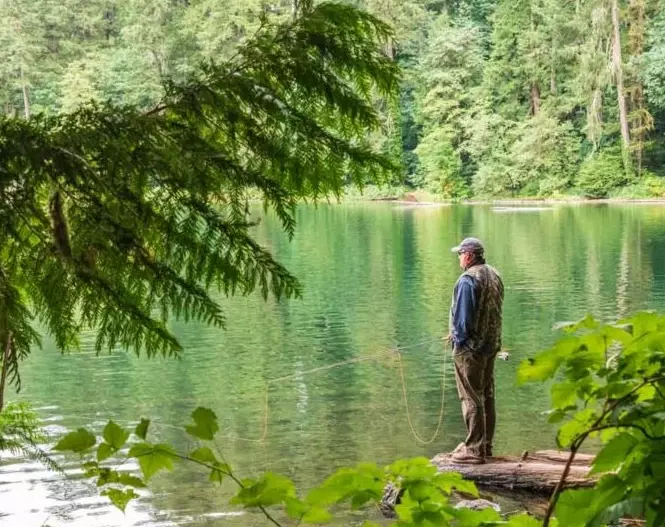 buy Washington fishing license online