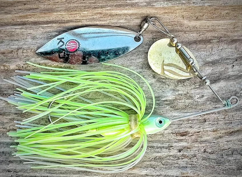 ocean fishing bait