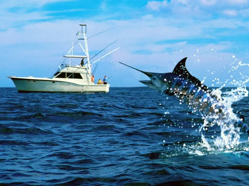 offshore fishing safety
