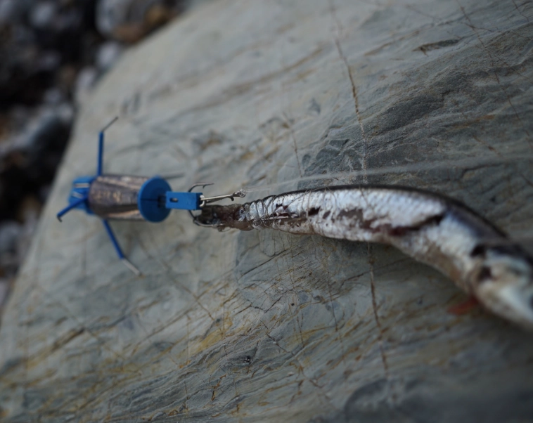 saltwater fishing bait