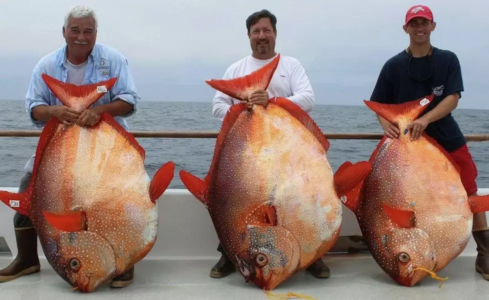 fishing without license California