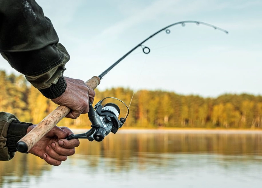 fishing rod types