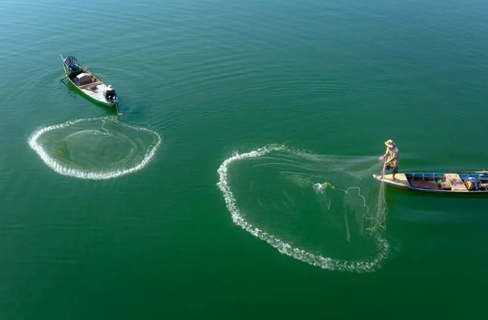gillnet fishing