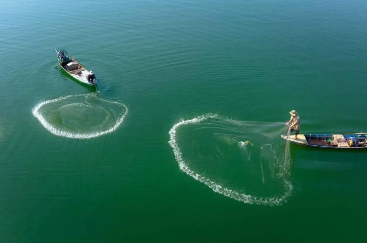 how to choose a fishing net