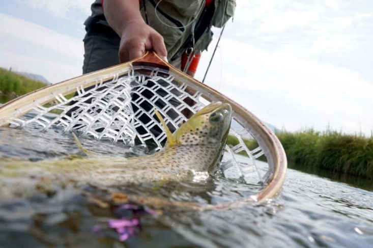 what is a fishing net called