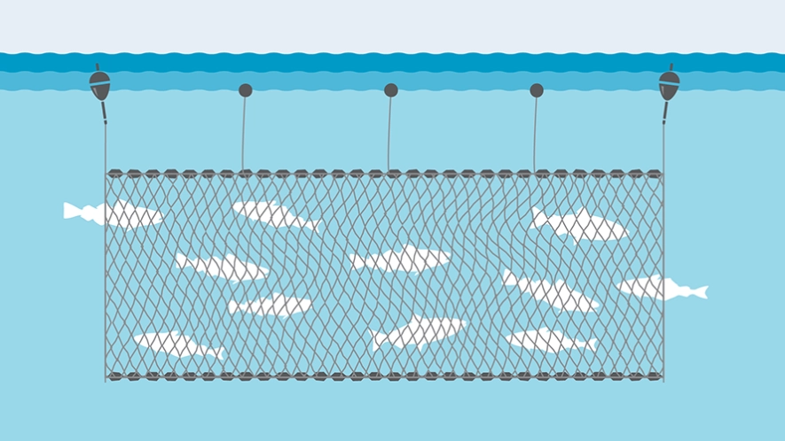 types of fishing nets