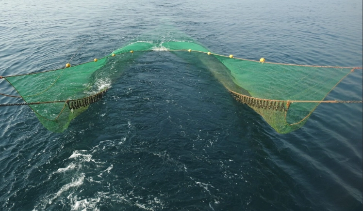 gillnet fishing