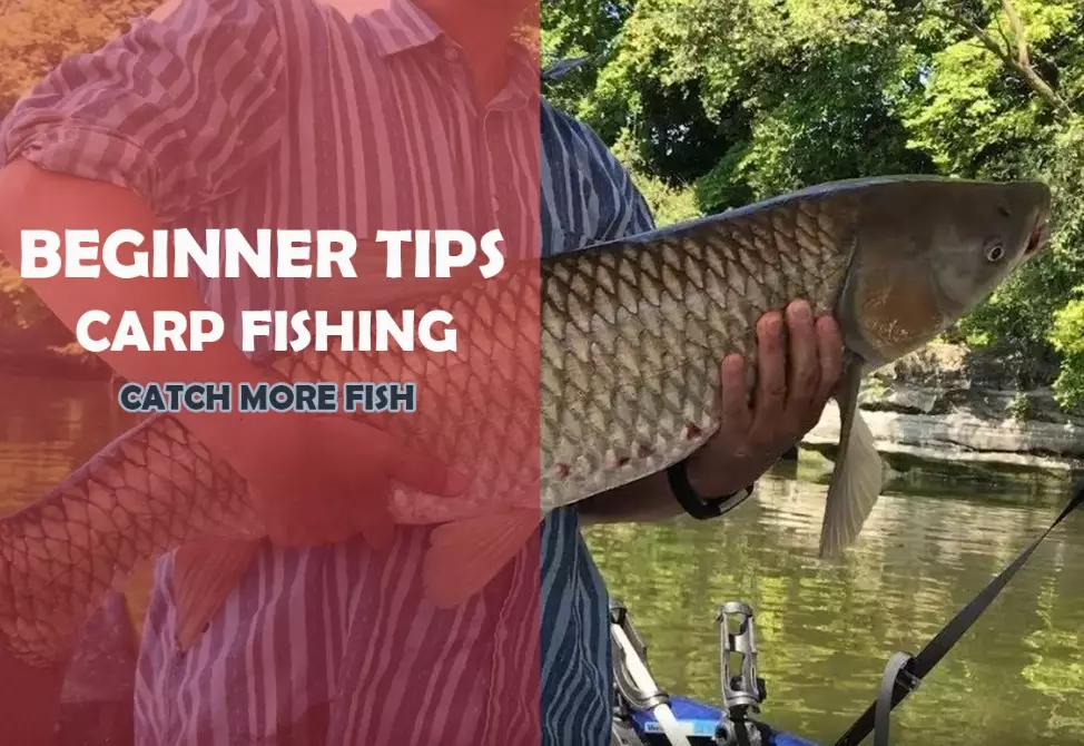 beginner fishing tips
