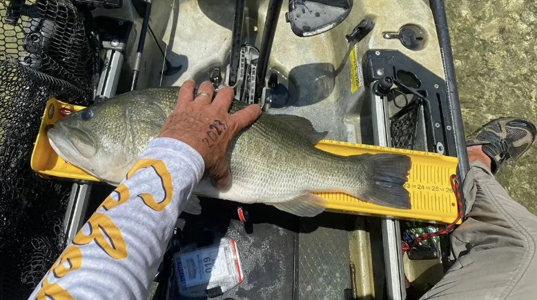 how to enter bass tournaments