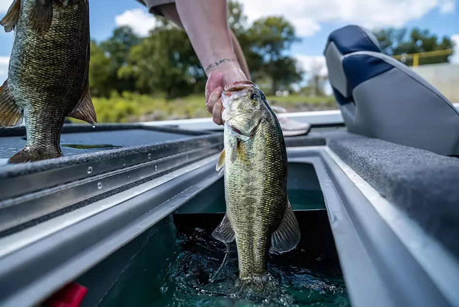 bassmaster classic
