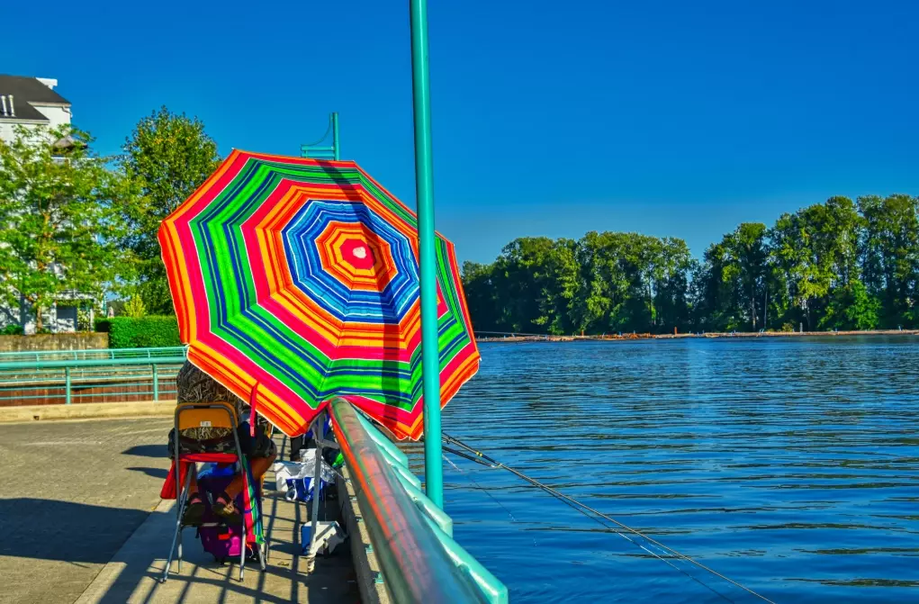top fishing umbrella brands