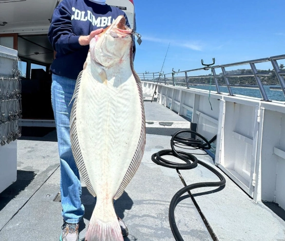 Fishing charter Bay Area