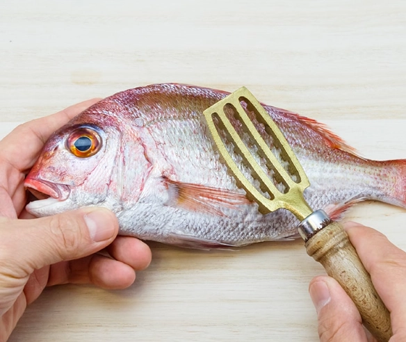 are fish scales edible