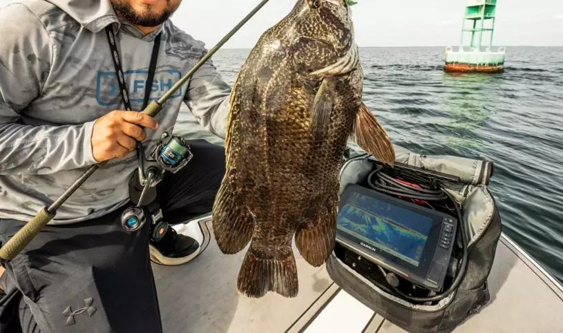 side imaging vs down imaging side imaging vs down imaging