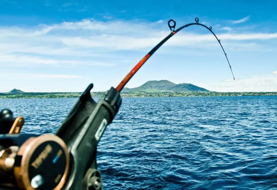 guide ring types guide ring types