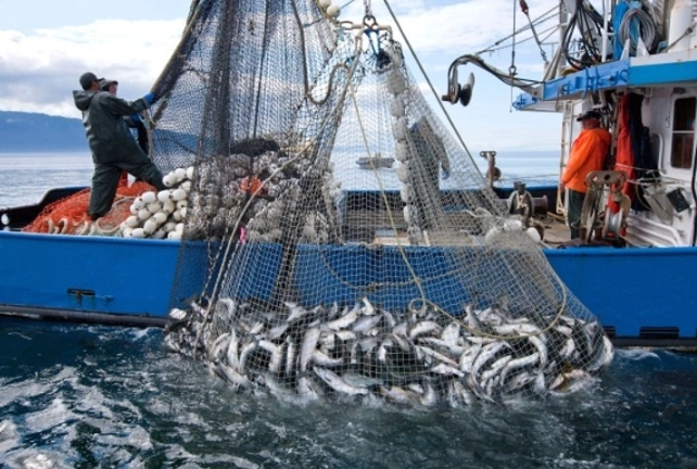 how does barometric pressure affect fishing