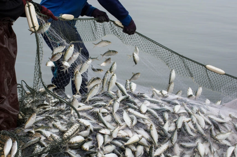 best weather for fishing