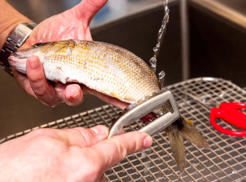 how to clean a fish how to clean a fish