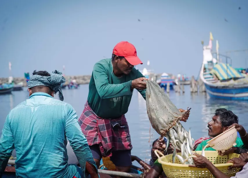 best weather for fishing